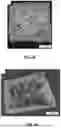 Fig. 08 - PROCESS FOR ADDITIVE MANUFACTURING OF TERNARY-PHASE THERMOELECTRIC MATERIALS