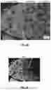 Fig. 13 - PROCESS FOR ADDITIVE MANUFACTURING OF TERNARY-PHASE THERMOELECTRIC MATERIALS
