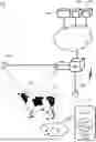Fig. 01 - SYSTEM FOR DETERMINING A TIME DISTRIBUTION OF AN ANIMAL INTO ZONES OF A BARN