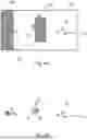 Fig. 04 - SYSTEM FOR DETERMINING A TIME DISTRIBUTION OF AN ANIMAL INTO ZONES OF A BARN