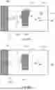 Fig. 05 - SYSTEM FOR DETERMINING A TIME DISTRIBUTION OF AN ANIMAL INTO ZONES OF A BARN