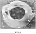 Fig. 09 - BRIDGING PERIPHERAL NERVE GAPS WITH CONDUITS FOR ENHANCED NERVE REGENERATION