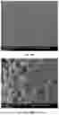 Fig. 53 - BRIDGING PERIPHERAL NERVE GAPS WITH CONDUITS FOR ENHANCED NERVE REGENERATION