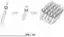 Fig. 47 - HANDED SPIRAL SLOTTED SCALPET ARRAY