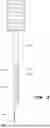 Fig. 04 - STEERABLE INTRODUCER DEVICES, SYSTEMS, AND METHODS