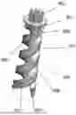 Fig. 01 - INSTRUMENTS AND METHODS FOR POSTERIOR SURGICAL APPROACH FOR SACROILIAC JOINT