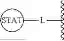 Fig. 331 - STAT DEGRADERS AND USES THEREOF