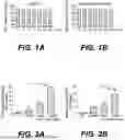 Fig. 02 - COMPOSITION FOR TREATING BONE LOSS
