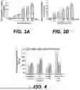 Fig. 03 - COMPOSITION FOR TREATING BONE LOSS