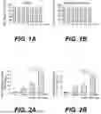 Fig. 02 - COMPOSITION FOR TREATING BONE LOSS