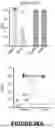 Fig. 72 - Programmable Nanoencapsulation for Delivery of Probiotics in Vivo