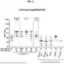 Fig. 08 - MULTIVALENT INFLUENZA NANOPARTICLE VACCINES