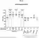 Fig. 09 - MULTIVALENT INFLUENZA NANOPARTICLE VACCINES