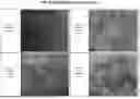 Fig. 32 - MULTIVALENT INFLUENZA NANOPARTICLE VACCINES