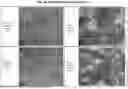 Fig. 33 - MULTIVALENT INFLUENZA NANOPARTICLE VACCINES