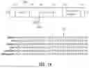 Fig. 09 - Genetically Engineered Phagocytes, and Related Compositions, Vectors, Methods and Systems
