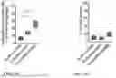 Fig. 28 - Genetically Engineered Phagocytes, and Related Compositions, Vectors, Methods and Systems