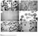 Fig. 02 - Encapsulation of Functional Additives in Partially-Open Microcapsules
