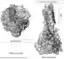 Fig. 01 - COMPOSITIONS AND METHODS OF RIBONUCLEIC ACID RESPIRATORY SYNCYTIAL VIRUS (RSV) VACCINES