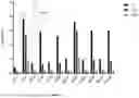 Fig. 07 - COMPOSITIONS AND METHODS OF RIBONUCLEIC ACID RESPIRATORY SYNCYTIAL VIRUS (RSV) VACCINES