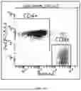 Fig. 32 - COMPOSITIONS AND METHODS OF RIBONUCLEIC ACID RESPIRATORY SYNCYTIAL VIRUS (RSV) VACCINES