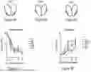 Fig. 13 - IL-10 VARIANT MOLECULES AND METHODS FOR TREATING INFLAMMATORY DISEASE AND ONCOLOGY