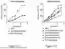 Fig. 22 - IL-10 VARIANT MOLECULES AND METHODS FOR TREATING INFLAMMATORY DISEASE AND ONCOLOGY