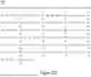 Fig. 29 - IL-10 VARIANT MOLECULES AND METHODS FOR TREATING INFLAMMATORY DISEASE AND ONCOLOGY