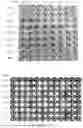 Fig. 02 - ANTIGEN-BINDING POLYPEPTIDE BINDING TO CD47, AND USE THEREOF