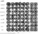 Fig. 03 - ANTIGEN-BINDING POLYPEPTIDE BINDING TO CD47, AND USE THEREOF