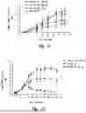 Fig. 08 - IL-17 RECEPTOR A ANTIGEN BINDING PROTEINS
