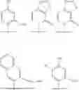 Fig. 366 - REAGENTS AND METHODS FOR REPLICATION, TRANSCRIPTION, AND TRANSLATION IN SEMI-SYNTHETIC ORGANISMS