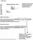 Fig. 52 - NATURAL SOLUTION LANGUAGE