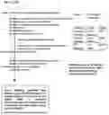 Fig. 63 - NATURAL SOLUTION LANGUAGE