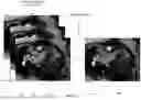 Fig. 02 - SYSTEMS AND METHODS FOR CARDIAC MOTION TRACKING AND ANALYSIS