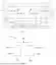 Fig. 02 - DISPLAY PANEL AND DISPLAY DEVICE