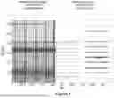 Fig. 04 - SPECTRUM CLASSIFIER FOR AUDIO CODING MODE SELECTION