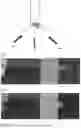 Fig. 04 - METHOD OF PREPARING A SAMPLE FOR TRANSMISSION ELECTRON MICROSCOPY (TEM) ANALYSIS
