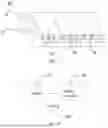 Fig. 07 - SEMICONDUCTOR POWER MODULE, MOTOR CONTROLLER, AND VEHICLE