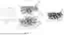 Fig. 19 - INTEGRATION AND BONDING OF MICRO-DEVICES INTO SYSTEM SUBSTRATE