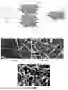 Fig. 26 - INTEGRATION AND BONDING OF MICRO-DEVICES INTO SYSTEM SUBSTRATE