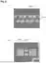 Fig. 06 - SOLDER PASTE, METHOD FOR FORMING SOLDER BUMPS, AND METHOD FOR MANUFACTURING MEMBER PROVIDED WITH SOLDER BUMPS