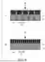 Fig. 14 - METHOD OF MANUFACTURING SEMICONDUCTOR DEVICE