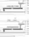Fig. 12 - Display substrate, display panel and display apparatus