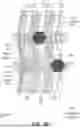 Fig. 08 - ELECTRONIC DEVICE