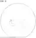 Fig. 07 - SiC EPITAXIAL WAFER