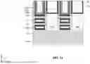 Fig. 19 - GATE SPACERS IN SEMICONDUCTOR DEVICES