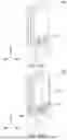 Fig. 13 - SEMICONDUCTOR DEVICES WITH IMPLANTED STI REGIONS AND METHODS OF FORMING THE SAME