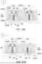 Fig. 38 - MANUFACTURING METHOD OF SEMICONDUCTOR DEVICE