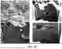Fig. 17 - METHODS OF REDUCING OCCURRENCES OF SHORT CIRCUITS AND/OR LITHIUM PLATING IN BATTERIES